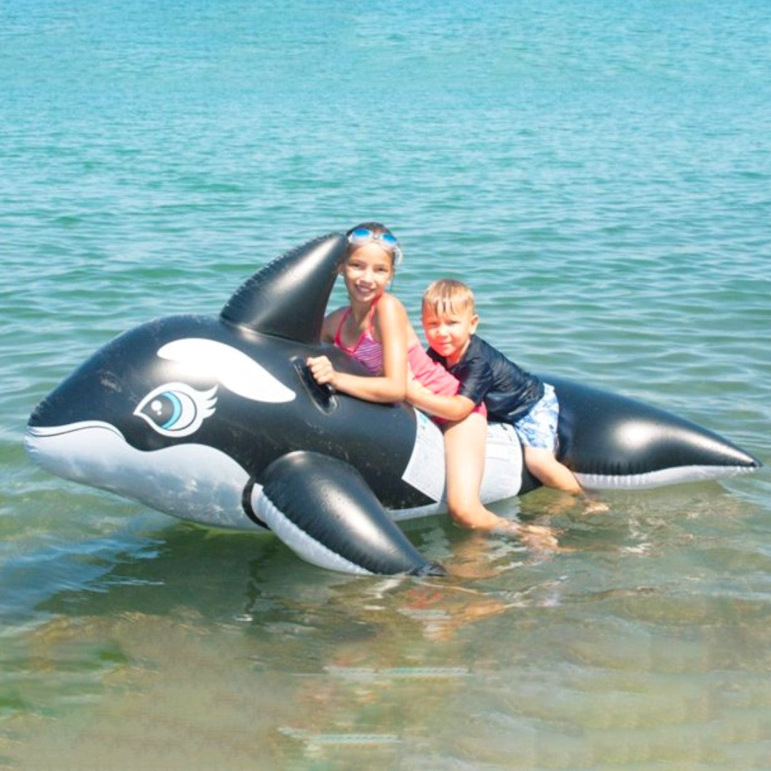 FLOTADOR FORMA ORCA NEGRA FLOTADOR FORMA ORCA NEGRA